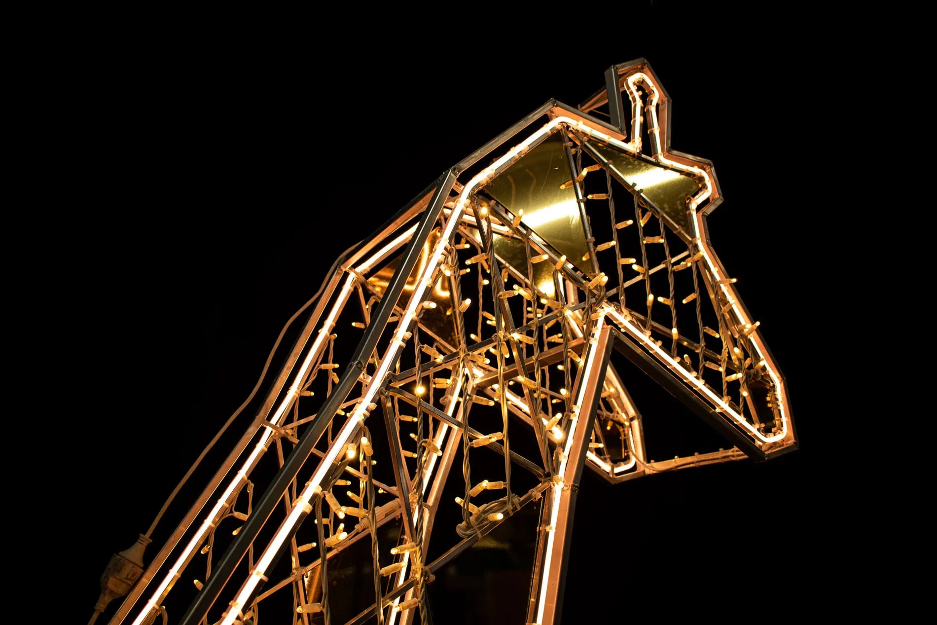 Girafa lluminosa (detall)